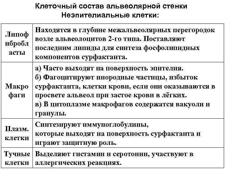 Клеточный состав альвеолярной стенки Неэпителиальные клетки: Липоф ибробл асты Макро фаги Плазм. клетки Находятся