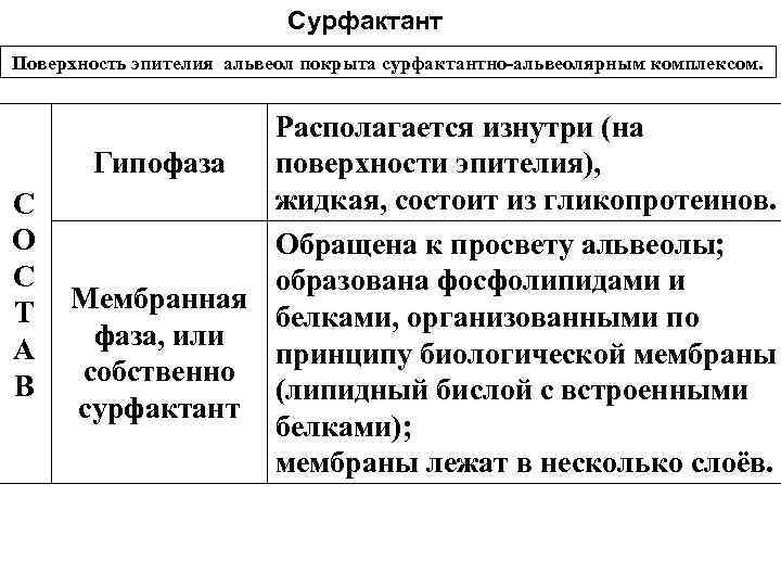 Сурфактант Поверхность эпителия альвеол покрыта сурфактантно-альвеолярным комплексом. С О С Т А В Располагается