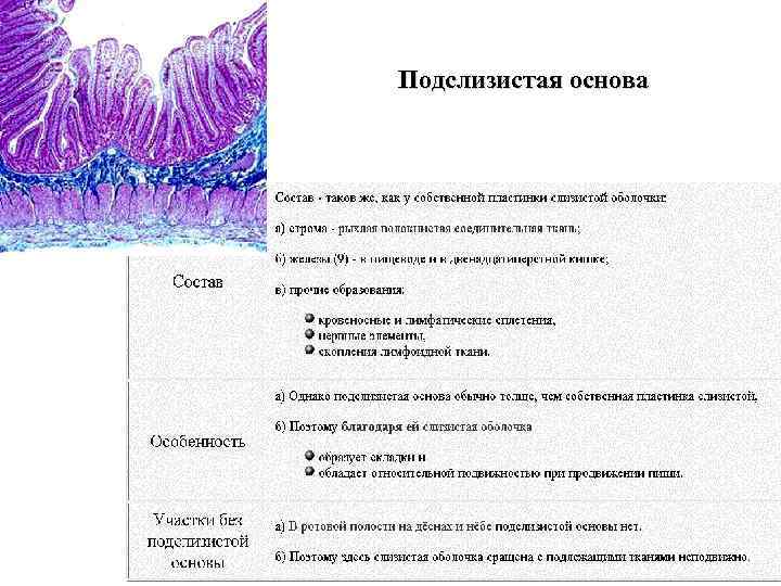 Подслизистая основа 
