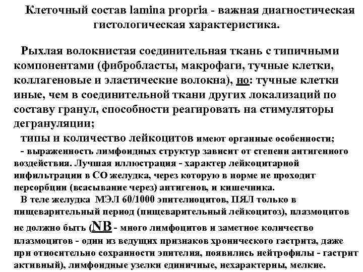 Клеточный состав lamina propria - важная диагностическая гистологическая характеристика. Рыхлая волокнистая соединительная ткань с
