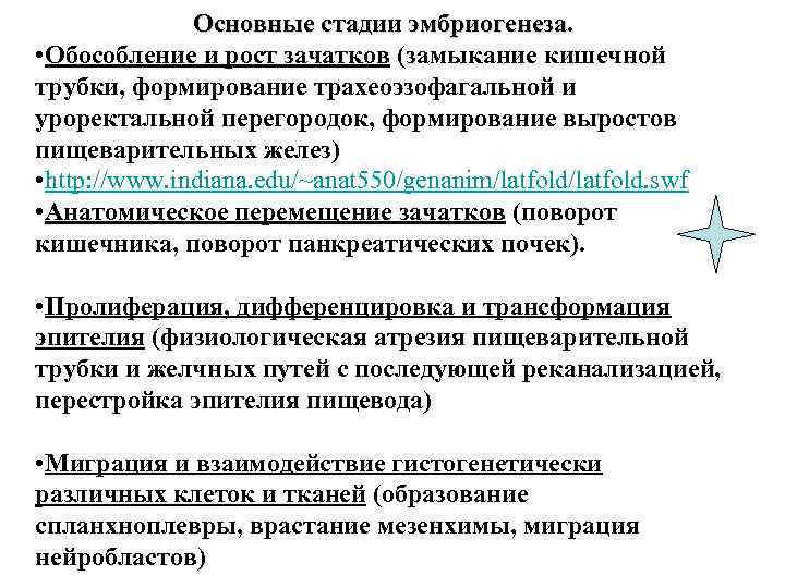 Основные стадии эмбриогенеза. • Обособление и рост зачатков (замыкание кишечной трубки, формирование трахеоэзофагальной и