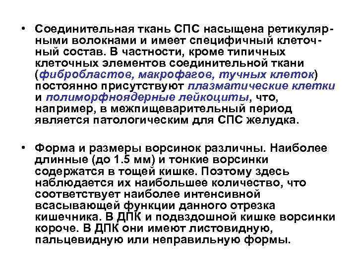  • Соединительная ткань СПС насыщена ретикулярными волокнами и имеет специфичный клеточный состав. В
