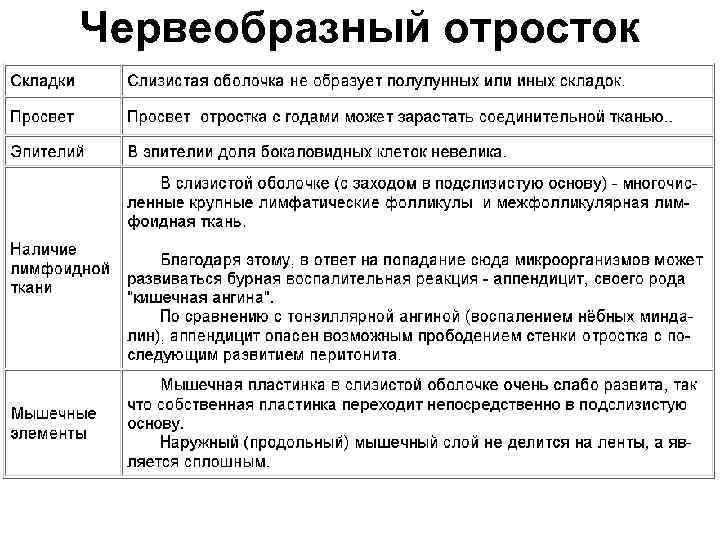 Червеобразный отросток 