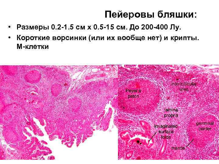 Тонкий план эзотерика