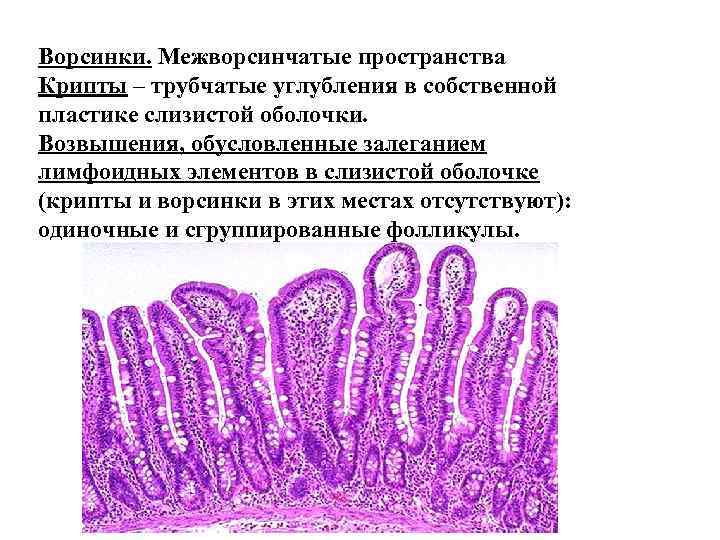 Функциональное расстройство кишечника карта вызова скорой