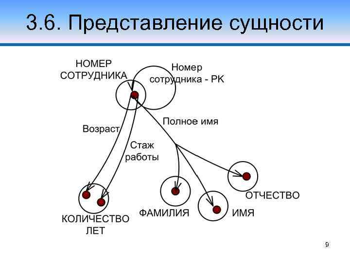 3. 6. Представление сущности 9 