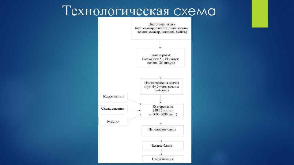 Технологическая схема 