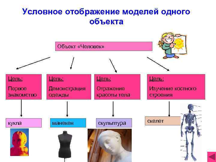 Условное отображение моделей одного объекта Объект «Человек» Цель: Первое знакомство Демонстрация одежды Отражение красоты