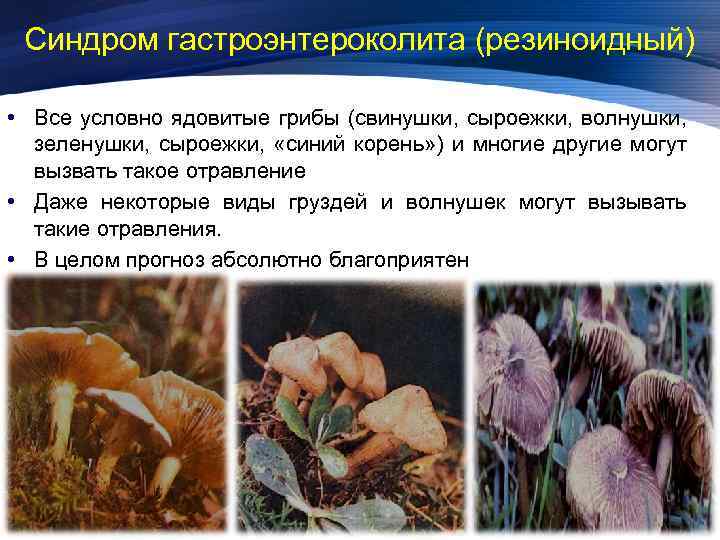 Синдром гастроэнтероколита (резиноидный) • Все условно ядовитые грибы (свинушки, сыроежки, волнушки, зеленушки, сыроежки, «синий