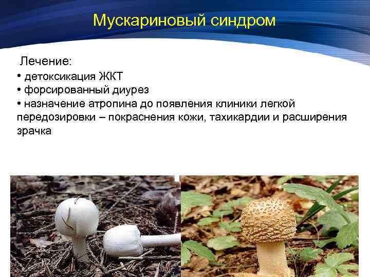 Мускариновый синдром Лечение: • детоксикация ЖКТ • форсированный диурез • назначение атропина до появления