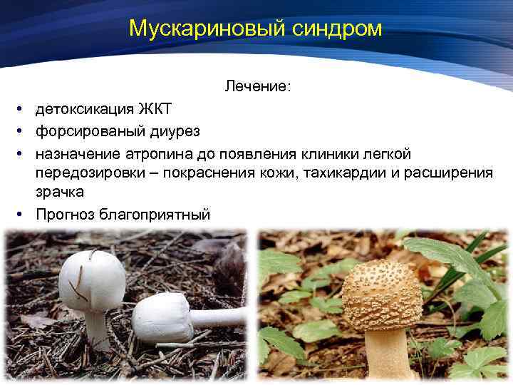 Мускариновый синдром Лечение: • детоксикация ЖКТ • форсированый диурез • назначение атропина до появления