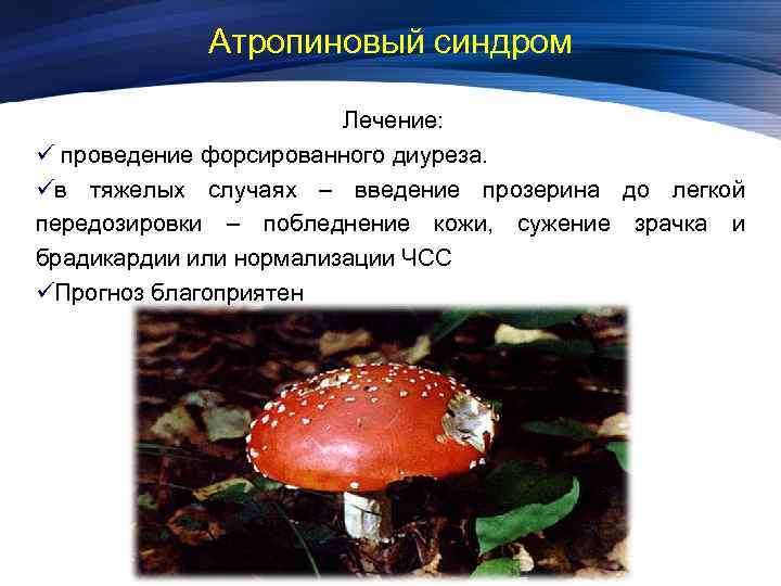 Атропиновый синдром Лечение: ü проведение форсированного диуреза. üв тяжелых случаях – введение прозерина до