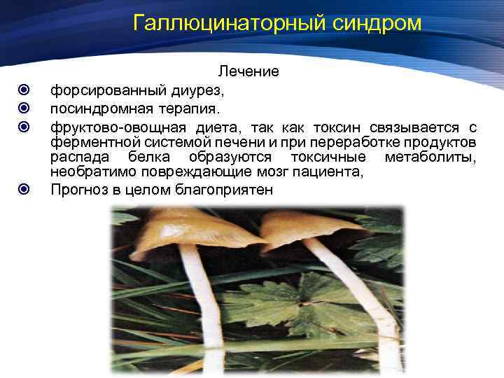 Галлюцинаторный синдром Лечение форсированный диурез, посиндромная терапия. фруктово-овощная диета, так как токсин связывается с