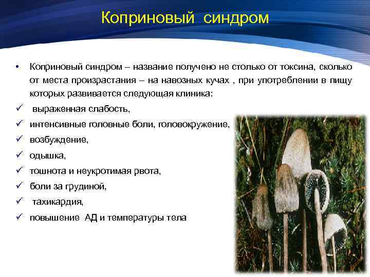 Коприновый синдром • Коприновый синдром – название получено не столько от токсина, сколько от