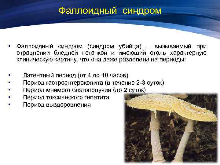 Фаллоидный синдром • Фаллоидный синдром (синдром убийца) – вызываемый при отравлении бледной поганкой и
