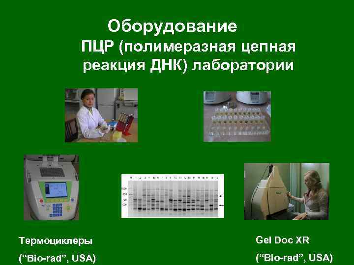 Оборудование ПЦР (полимеразная цепная реакция ДНК) лаборатории Термоциклеры Gel Doc XR (“Bio-rad”, USA) 