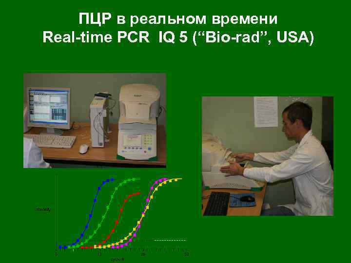 ПЦР в реальном времени Real-time PCR IQ 5 (“Bio-rad”, USA) 