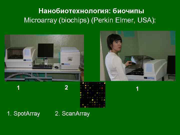 Нанобиотехнология: биочипы Microarray (biochips) (Perkin Elmer, USA): 1 1. Spot. Array 2 2. Scan.