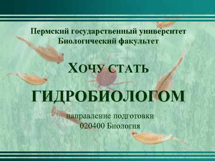 Пермский государственный университет Биологический факультет ХОЧУ СТАТЬ ГИДРОБИОЛОГОМ направление подготовки 020400 Биология 