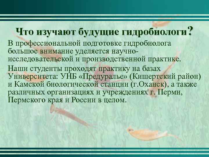 Что изучают будущие гидробиологи? В профессиональной подготовке гидробиолога большое внимание уделяется научноисследовательской и производственной