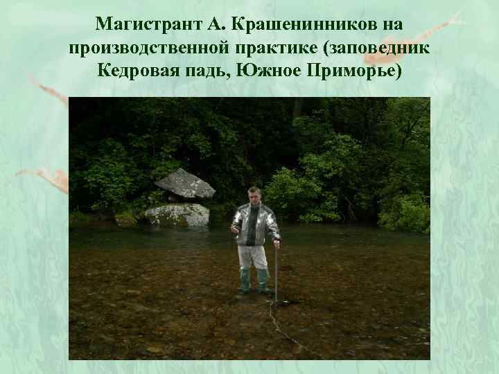 Магистрант А. Крашенинников на производственной практике (заповедник Кедровая падь, Южное Приморье) 