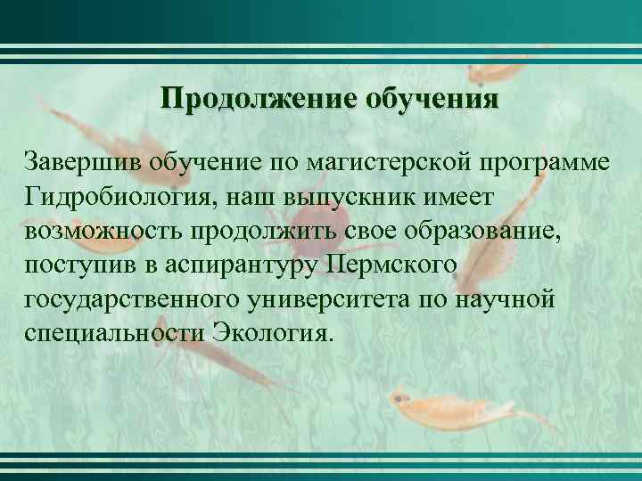 Продолжение обучения Завершив обучение по магистерской программе Гидробиология, наш выпускник имеет возможность продолжить свое