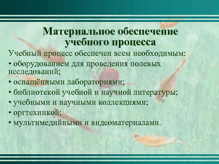 Материальное обеспечение учебного процесса Учебный процесс обеспечен всем необходимым: • оборудованием для проведения полевых