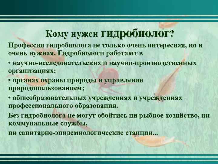 Кому нужен гидробиолог? Профессия гидробиолога не только очень интересная, но и очень нужная. Гидробиологи