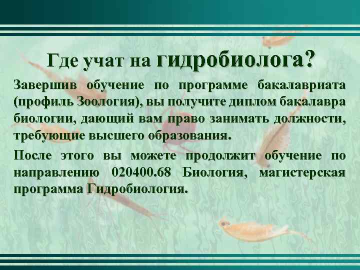 Где учат на гидробиолога? Завершив обучение по программе бакалавриата (профиль Зоология), вы получите диплом
