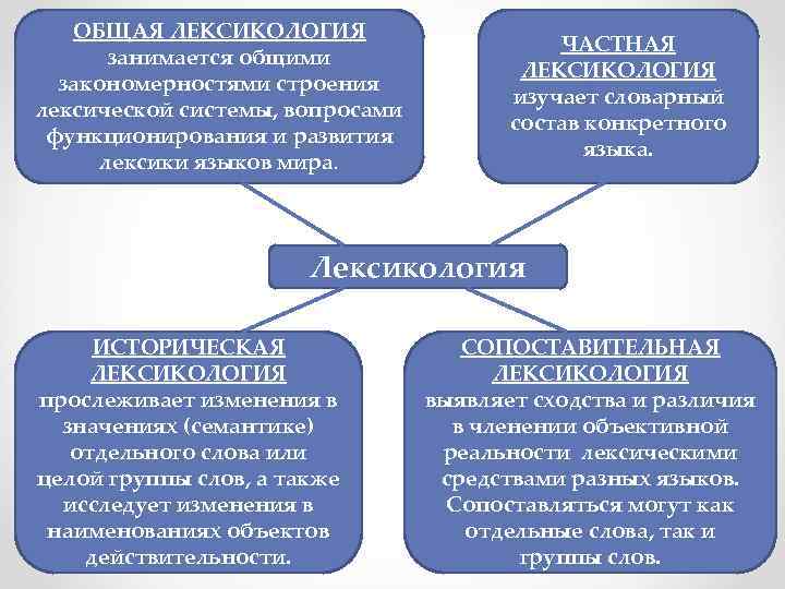 ОБЩАЯ ЛЕКСИКОЛОГИЯ занимается общими закономерностями строения лексической системы, вопросами функционирования и развития лексики языков