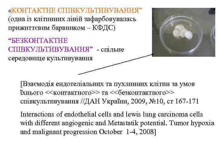  «КОНТАКТНЕ СПІВКУЛЬТИВУВАННЯ” (одна із клітинних ліній зафарбовувалась прижиттєвим барвником – КФДС) “БЕЗКОНТАКТНЕ СПІВКУЛЬТИВУВАННЯ”