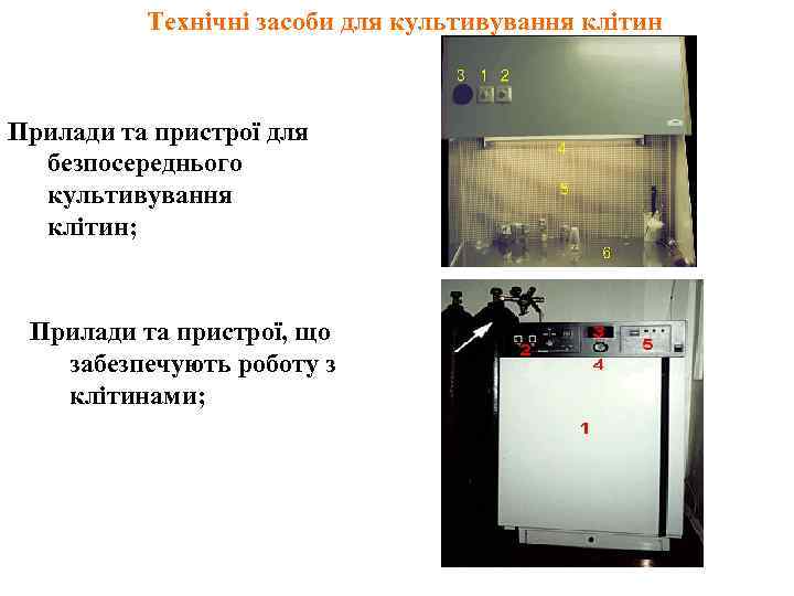 Технічні засоби для культивування клітин Прилади та пристрої для безпосереднього культивування клітин; Прилади та