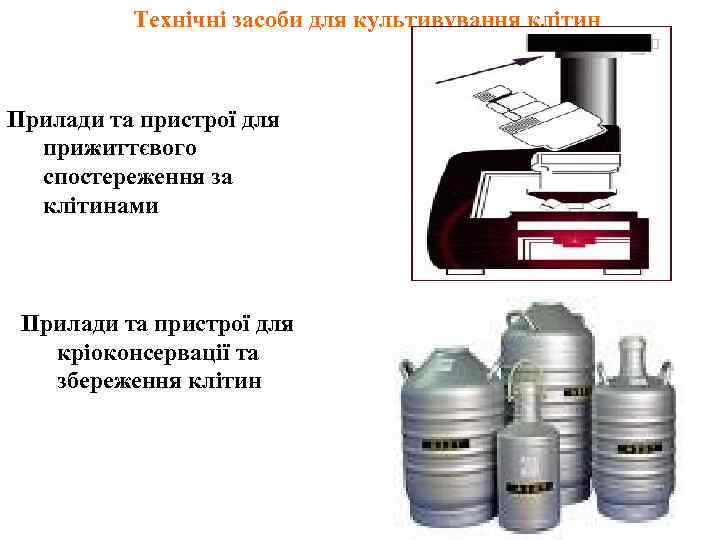 Технічні засоби для культивування клітин Прилади та пристрої для прижиттєвого спостереження за клітинами Прилади