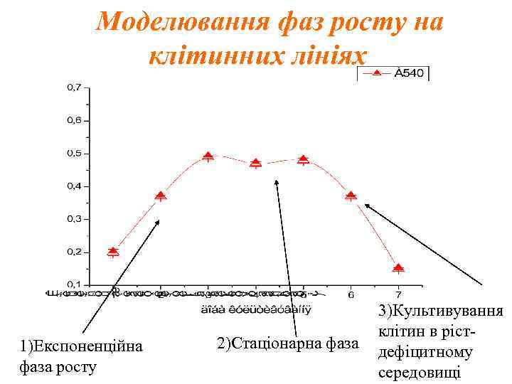  Моделювання фаз росту на клітинних лініях 1)Експоненційна фаза росту 2)Стаціонарна фаза 3)Культивування клітин