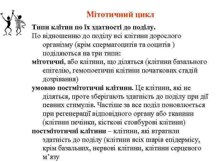 Мітотичний цикл Типи клітин по їх здатності до поділу. По відношенню до поділу всі