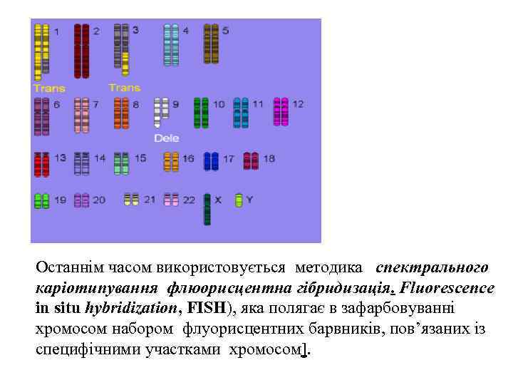  Останнім часом використовується методика спектрального каріотипування флюорисцентна гібридизація. Fluorescence in situ hybridization, FISH),