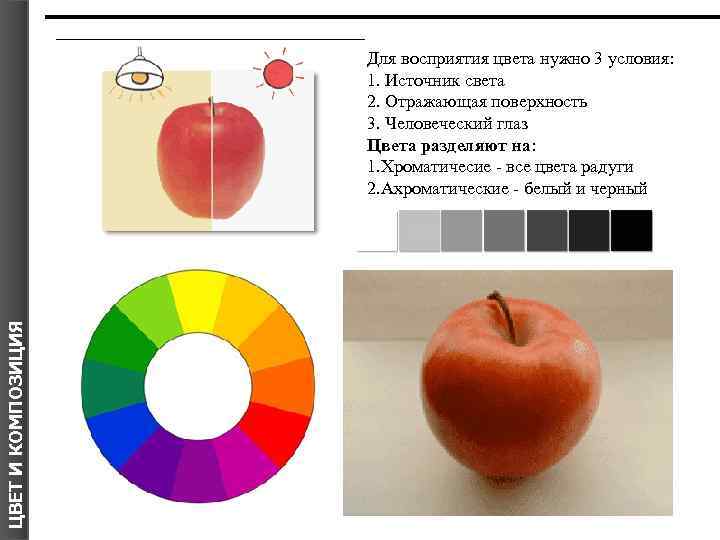 Восприятие цвета. Основы восприятия цвета. Цветовое восприятия и как мы видим цвет. Сколько цветов видит человеческий глаз. Какой цвет лучше всего воспринимает человеческий глаз.