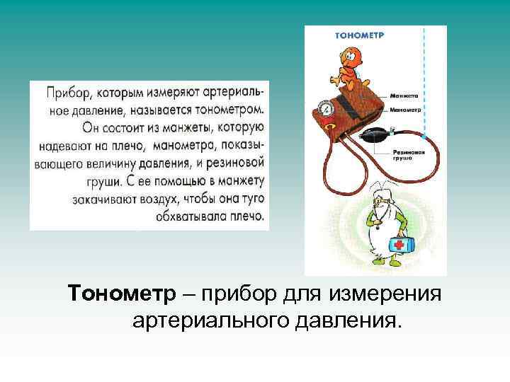 Тонометр – прибор для измерения артериального давления. 