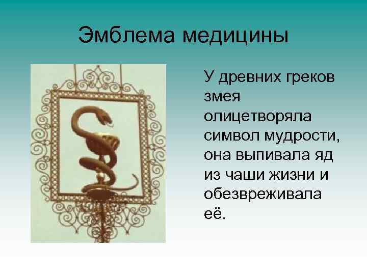 Эмблема медицины У древних греков змея олицетворяла символ мудрости, она выпивала яд из чаши