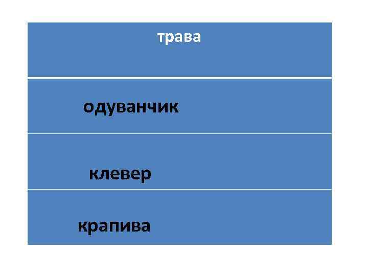 трава одуванчик клевер крапива 