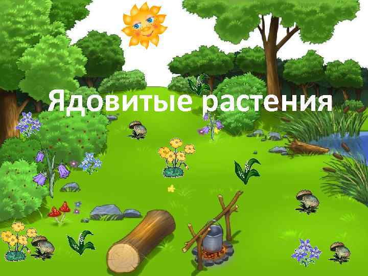 Ядовитые растения 