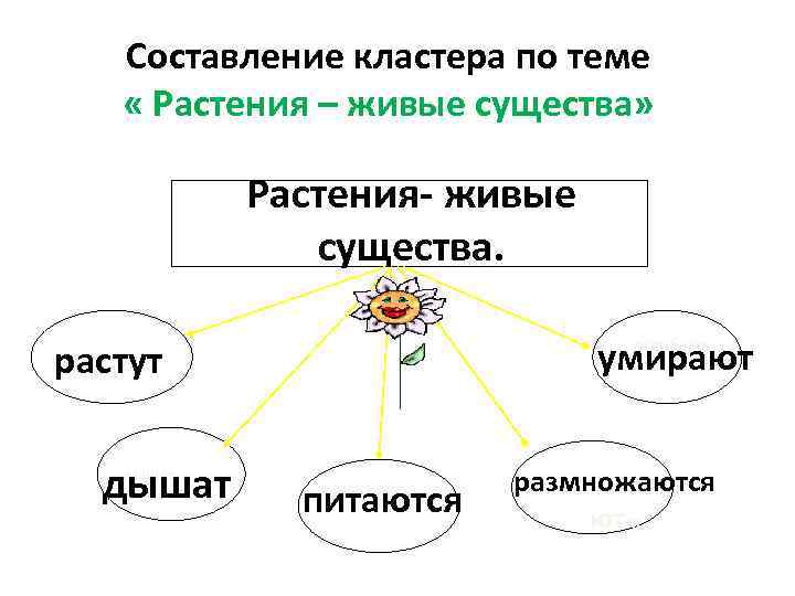 Составление кластера по теме « Растения – живые существа» Растения- живые существа. Растения- живые