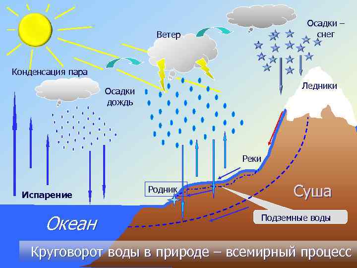 Осадки – снег Ветер Конденсация пара Ледники Осадки дождь Реки Испарение Океан Родник Суша