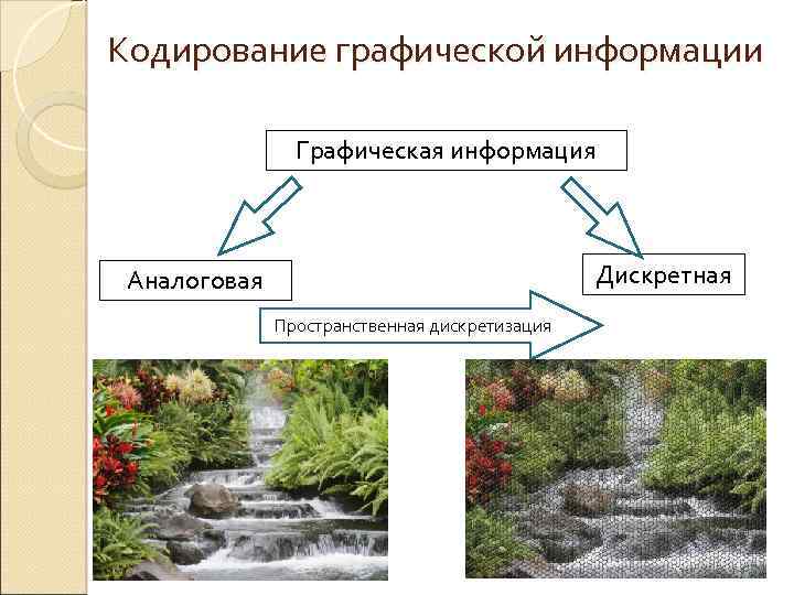 Кодирование графической информации Графическая информация Дискретная Аналоговая Пространственная дискретизация 