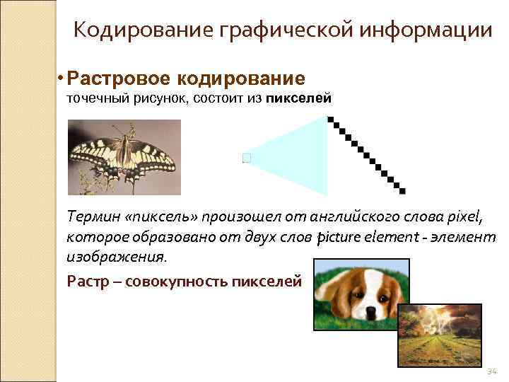 Кодирование графической информации • Растровое кодирование точечный рисунок, состоит из пикселей Термин «пиксель» произошел