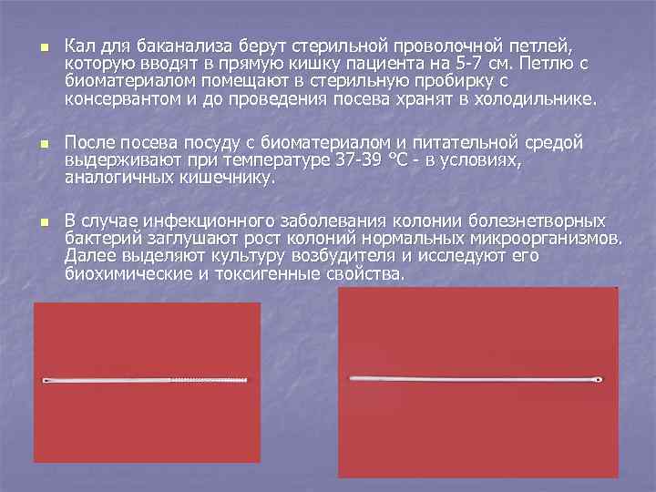 n n n Кал для баканализа берут стерильной проволочной петлей, которую вводят в прямую