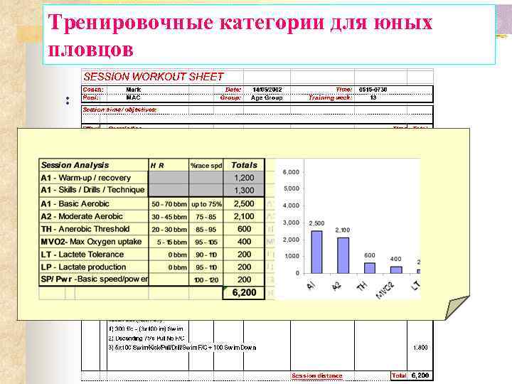 Тренировочные категории для юных пловцов : 