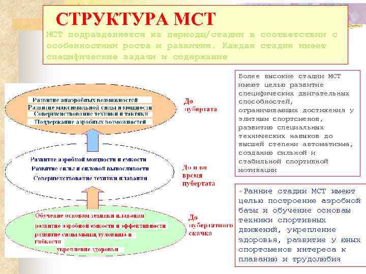  СТРУКТУРА МСТ MСТ подразделяется на периоды/стадии в соответствии с особенностями роста и развития.