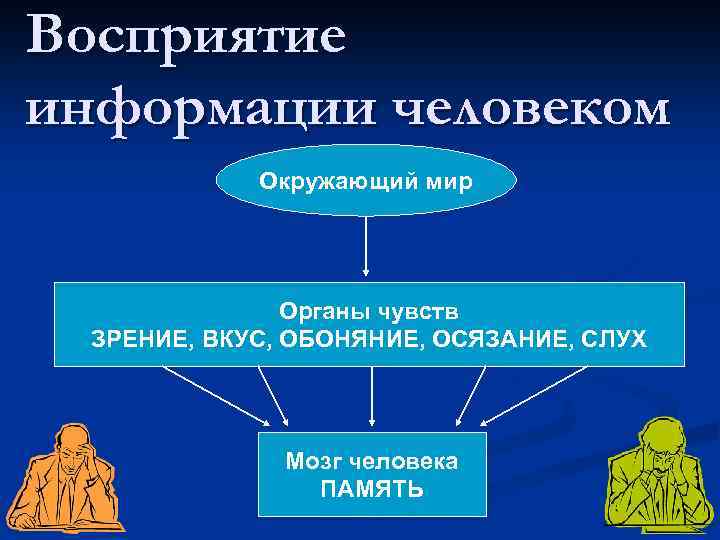 Восприятие информации человеком Окружающий мир Органы чувств ЗРЕНИЕ, ВКУС, ОБОНЯНИЕ, ОСЯЗАНИЕ, СЛУХ Мозг человека