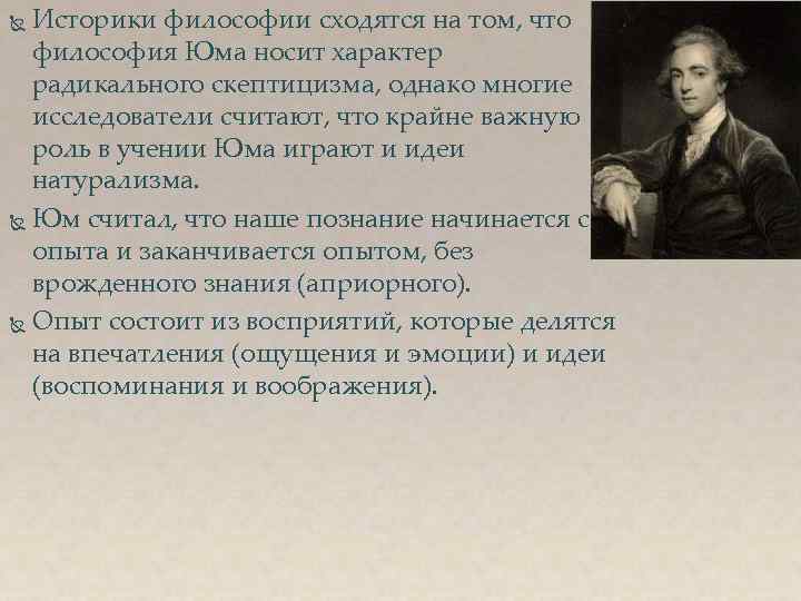 Историки философии сходятся на том, что философия Юма носит характер радикального скептицизма, однако многие